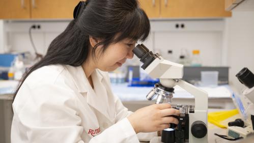 researcher using a microscope